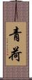 青荷 Scroll