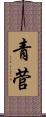 青菅 Scroll