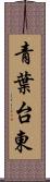 青葉台東 Scroll