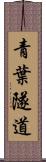 青葉隧道 Scroll