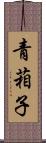 青葙子 Scroll