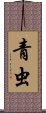 青虫 Scroll