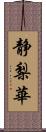 静梨華 Scroll