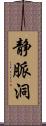 静脈洞 Scroll