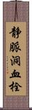 静脈洞血栓 Scroll