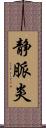 静脈炎 Scroll