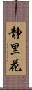 静里花 Scroll