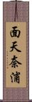 面天奈浦 Scroll