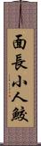 面長小人鮫 Scroll