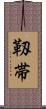 靱帯 Scroll
