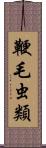 鞭毛虫類 Scroll