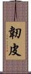 韌皮 Scroll
