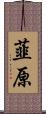 韮原 Scroll