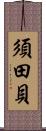 須田貝 Scroll