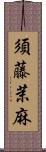 須藤茉麻 Scroll