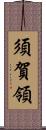 須賀領 Scroll