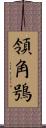 領角鴞 Scroll