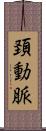 頚動脈 Scroll