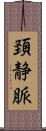頚静脈 Scroll