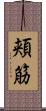頬筋 Scroll