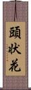 頭状花 Scroll