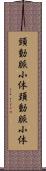 頸動脈小体 Scroll