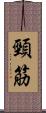 頸筋 Scroll