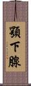 顎下腺 Scroll