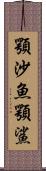 顎沙魚 Scroll