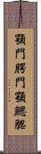 顎門 Scroll