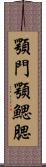 顎門 Scroll