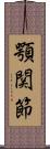 顎関節 Scroll