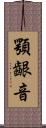 顎齦音 Scroll