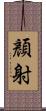 顏射 Scroll
