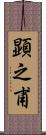 顕之甫 Scroll