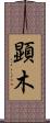 顕木 Scroll