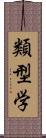 類型学 Scroll