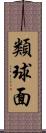 類球面 Scroll