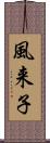 風来子 Scroll