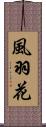 風羽花 Scroll