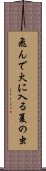 Tondehiniirunatsunomushi Scroll