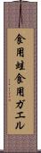 食用蛙 Scroll