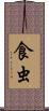 食虫 Scroll