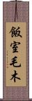 飯室毛木 Scroll