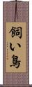 飼い鳥 Scroll