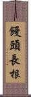 饅頭長根 Scroll