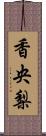 香央梨 Scroll