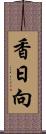 香日向 Scroll