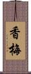 香梅 Scroll
