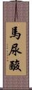 馬尿酸 Scroll